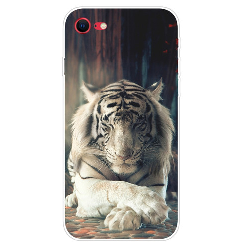 iPhone SE 2022 / SE 2020 Shockproof Painted Transparent TPU Protective Case - White Tiger