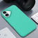 iPhone 16 Starry Series Shockproof Straw Material + TPU Protective Case - Army Green