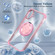 iPhone 16 Plus Gold Shield CD Pattern MagSafe Magnetic Phone Case with Rotating Stand - Transparent Pink