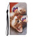 Samsung Galaxy S23 5G Colored Drawing Pattern Leather Phone Case - Butterfly Cat