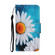 Samsung Galaxy S22+ 5G Colored Drawing Pattern Flip Leather Case - Chrysanthemum