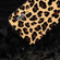 iPhone 14 Pro Max ABEEL Black Edge Leopard Phone Case - Leopard Print