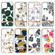 iPhone 14 Translucent Electroplating Flower Phone Case  - Cineraria