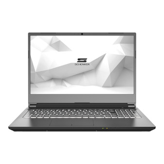 Schenker Work 15 SWO15L19 (2019)