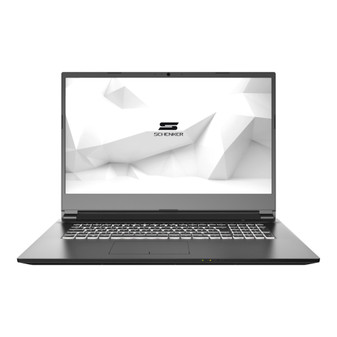 Schenker Work 17 SWO17L19 (2019)