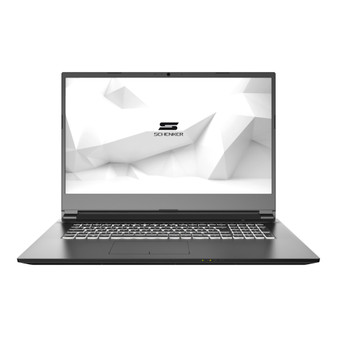 Schenker Work 17 SWO17L19