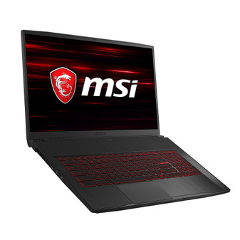 MSI GF75 Thin 9RCX Privacy Quad Screen Protector