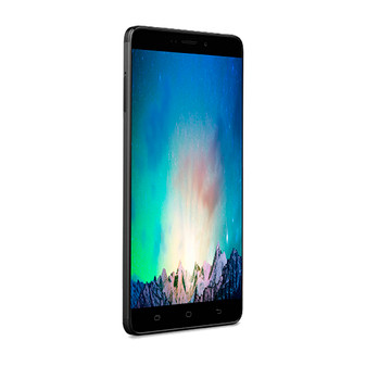 Medion X5520 Privacy Quad Screen Protector