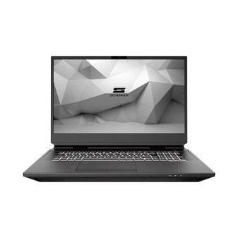 Schenker DTR 17 SDT17E21 Privacy Quad Screen Protector