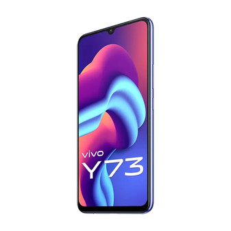 Vivo Y73 Privacy Quad Screen Protector