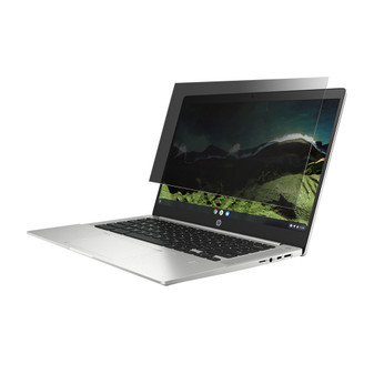 HP Pro c640 Chromebook G2 (Non-Touch) Privacy Quad Screen Protector