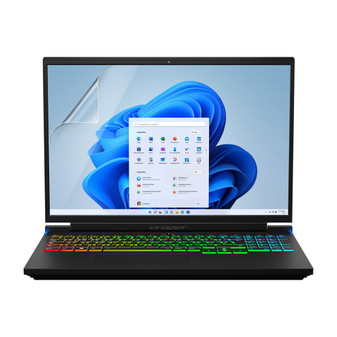 Medion Erazer Major X10 (16) Matte Screen Protector