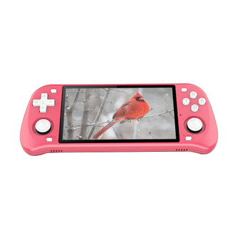 Powkiddy RGB10 Max 2