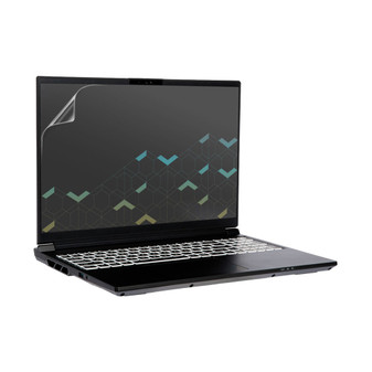 System76 Serval WS serw14 (16) Vivid Screen Protector