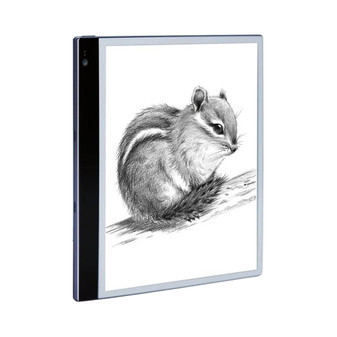 Bigme inkNote S Silk Screen Protector