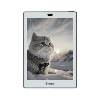 Bigme S6 Color+