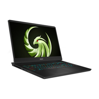 MSI Alpha 17 C7VF Privacy Quad Screen Protector