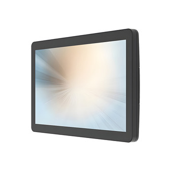 MicroTouch DT-100P-A1
