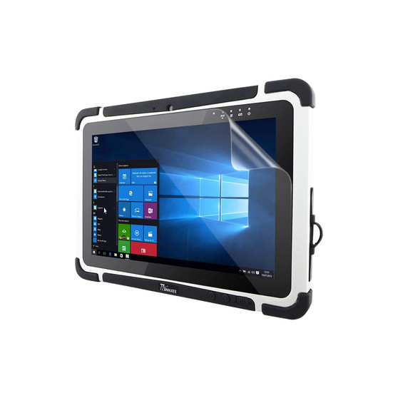 Winmate M101P Matte Screen Protector