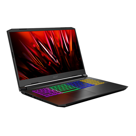 Acer Nitro 5 17 (AN517-53)
