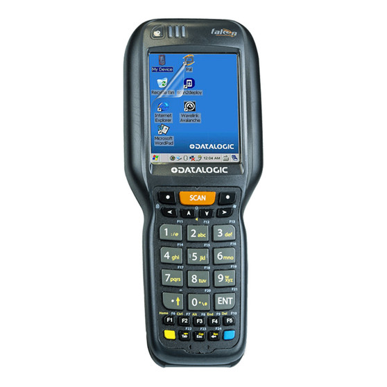 Datalogic Falcon X4 Vivid Screen Protector