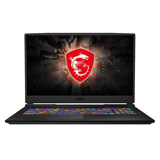 MSI GL75 Leopard 17 10SFR Privacy Quad Screen Protector