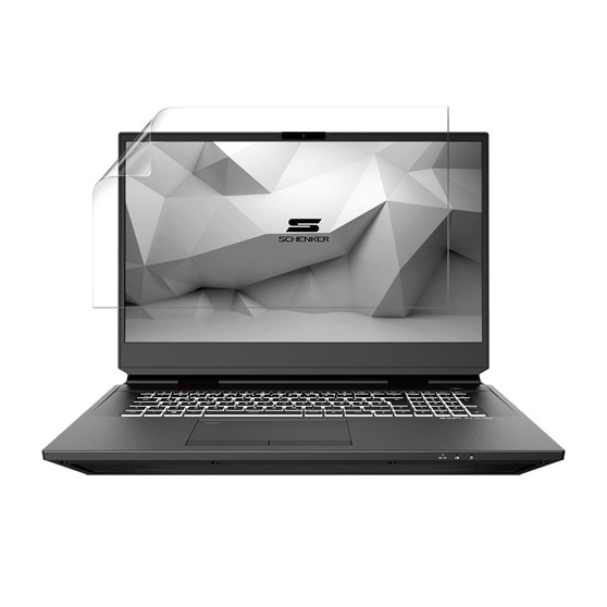 Schenker DTR 17 SDT17M20 Silk Screen Protector