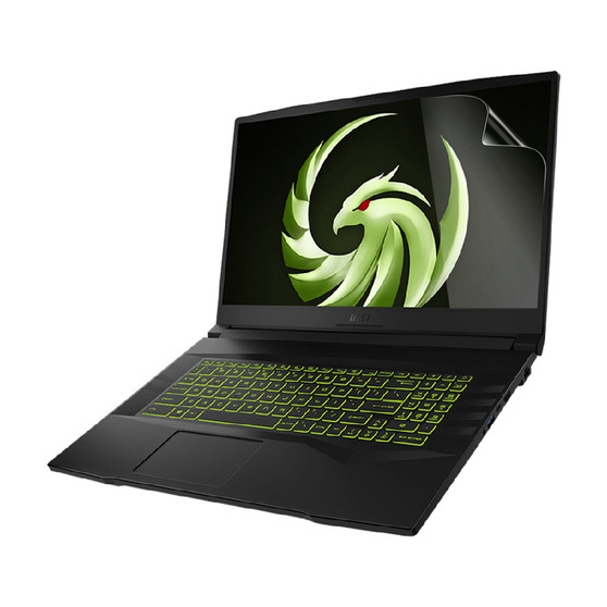 MSI Alpha 17 B5EEK AMD Advantage Edition Matte Screen Protector