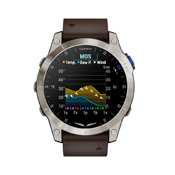Garmin D2 Mach 1