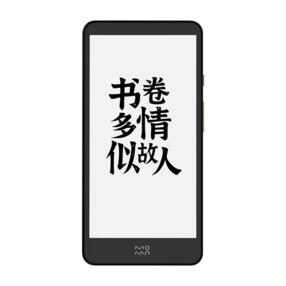 Xiaomi InkPalm Mini Plus Vivid Screen Protector