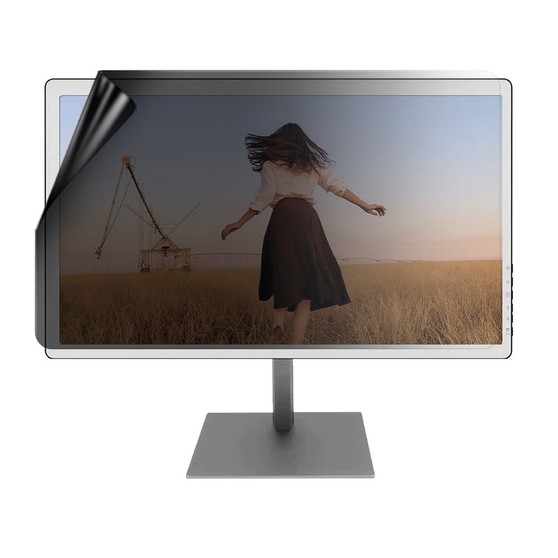 Bigme B251 Privacy Lite Screen Protector