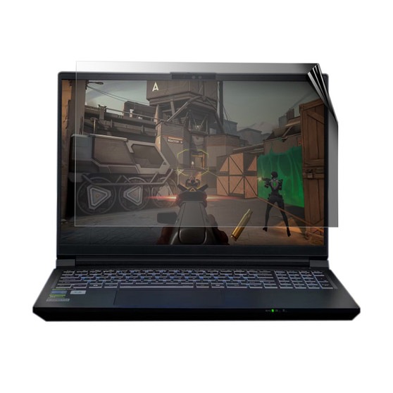 Aftershock LR-16i Privacy Screen Protector