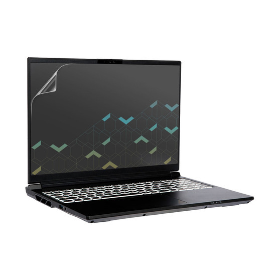 System76 Serval WS serw14 (16) Vivid Screen Protector