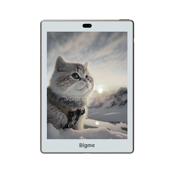 Bigme S6 Color+