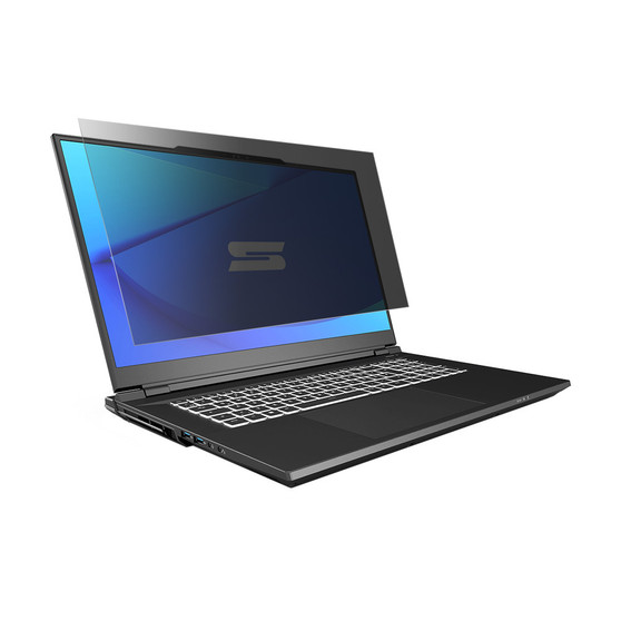 Schenker Key 17 Pro SKE17PM24 Privacy Quad Screen Protector