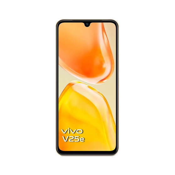 Vivo V25e