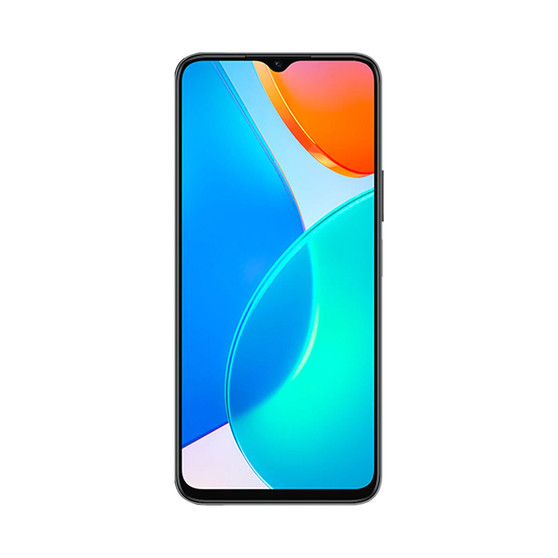 Honor X6