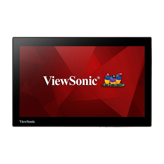 ViewSonic PD1213