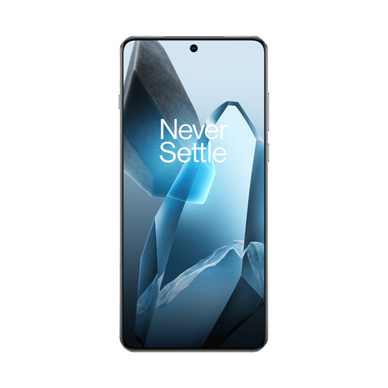OnePlus 13