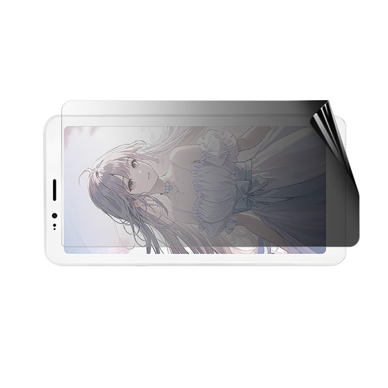 Bigme Hibreak S Color Privacy (Landscape) Screen Protector