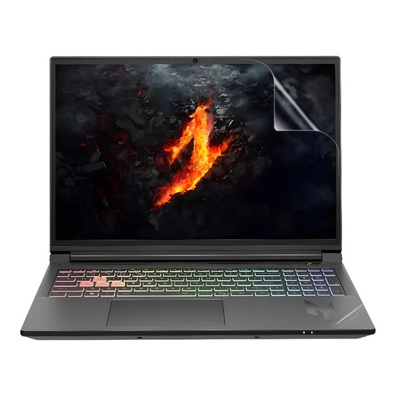 Acer Nitro 5 Pro (AN5P16-74G2) Vivid Screen Protector
