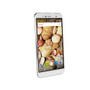 Maxwest Nitro 55M
