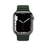 Apple Watch Series 7 (41mm)