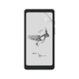 Onyx Boox Palma Vivid Screen Protector