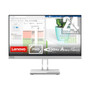 Lenovo Monitor L24e-40 Vivid Screen Protector