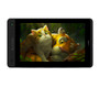 Huion Kamvas Pro 13