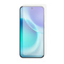 Vivo X300