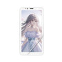 Bigme Hibreak S Color Matte Screen Protector
