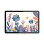 Huion Kamvas Slate 11 Vivid Screen Protector