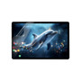 Alldocube iPlay 70E Matte Screen Protector